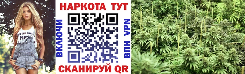 Где купить наркотики Первомайск Гашиш  Бошки Шишки  COCAIN  ОМГ ОМГ как войти  Мефедрон 