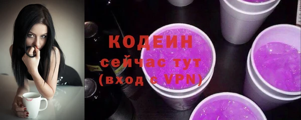 ешки Вяземский