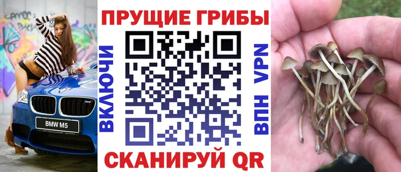 гидра зеркало  Первомайск  даркнет формула  Псилоцибиновые грибы Psilocybe 