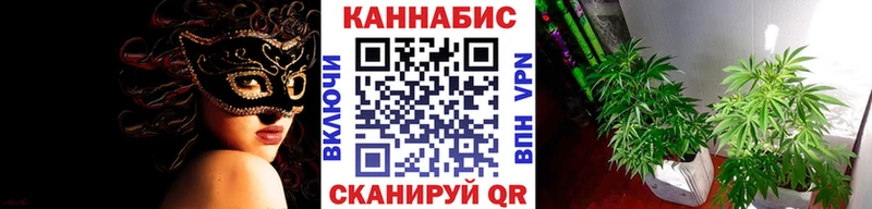 Каннабис семена  Первомайск 